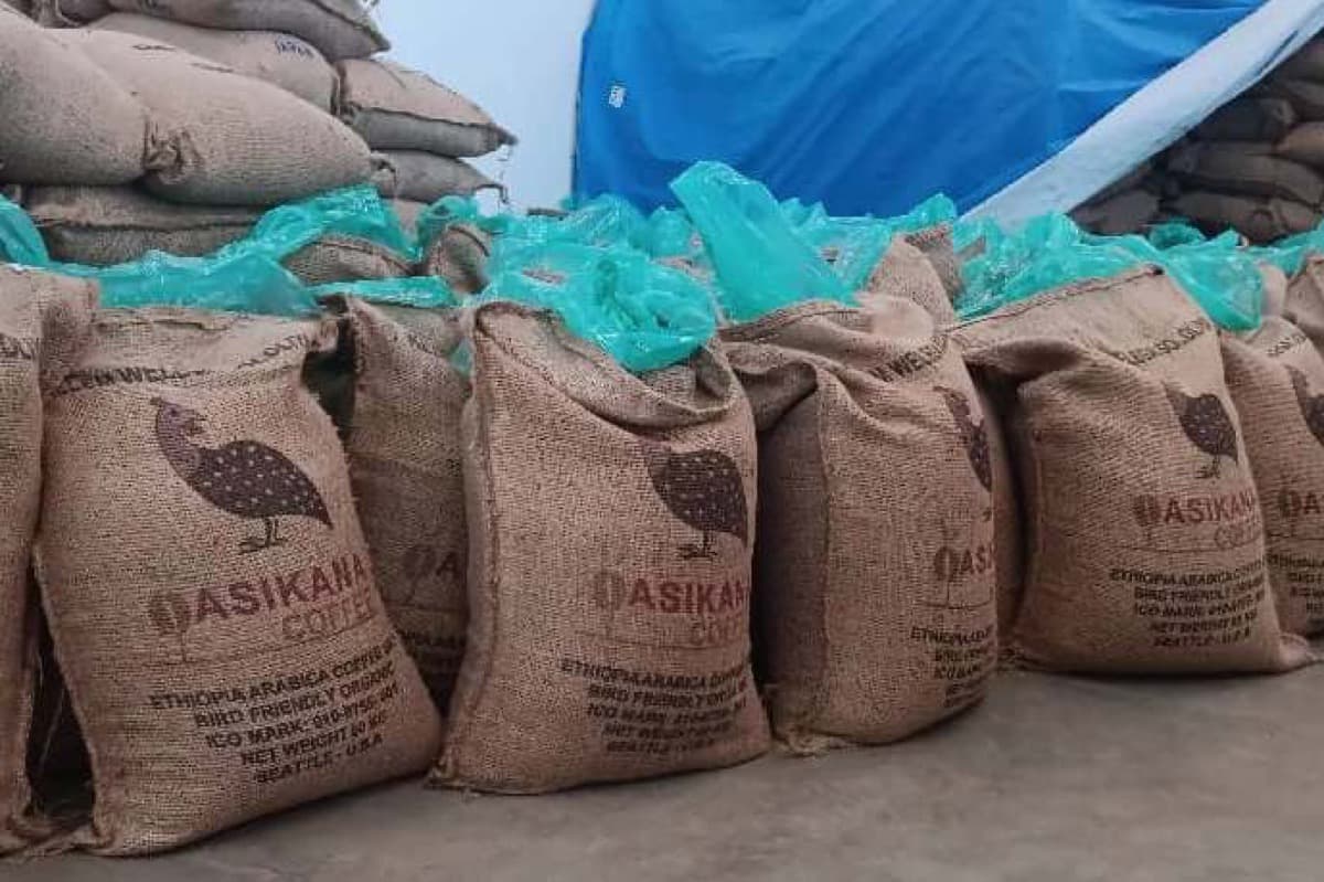 Ethiopia Gidami Asikana, photo 15