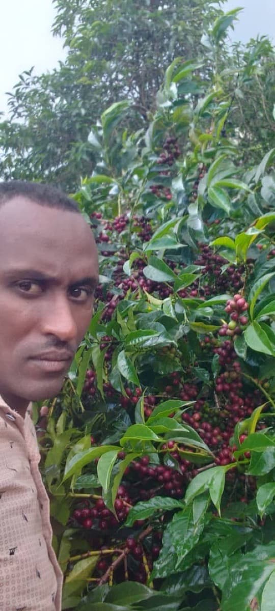 Ethiopia Gidami Asikana, photo 16