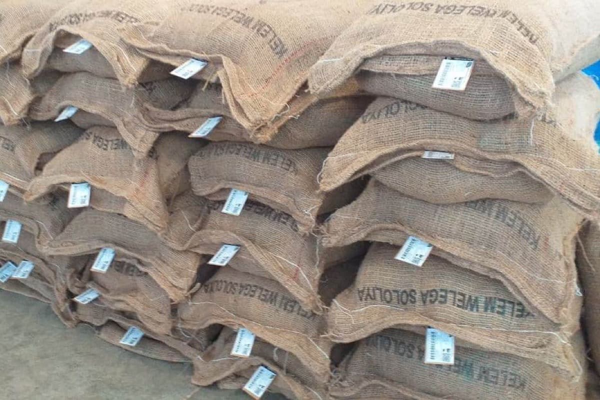 Ethiopia Gidami Asikana, photo 4