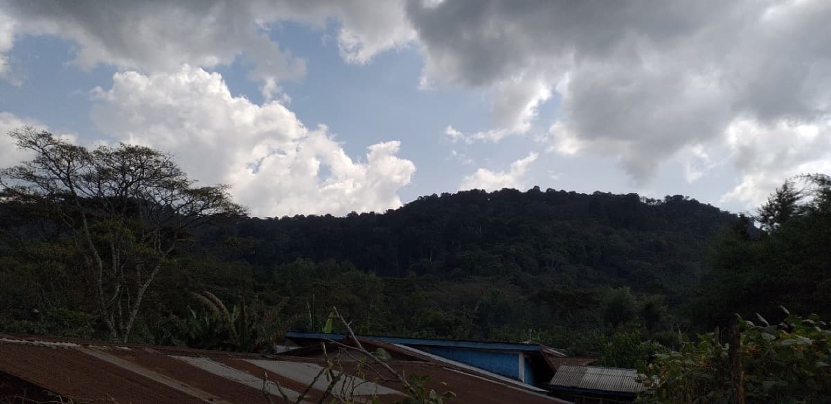 Ethiopia Gidami Asikana, photo 17