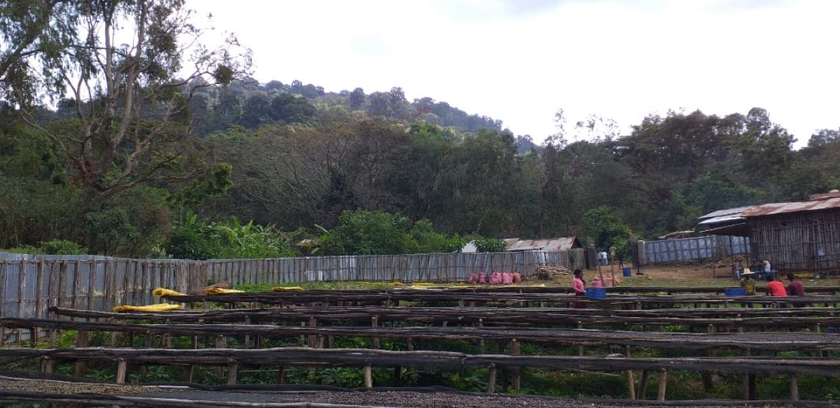 Ethiopia Gidami Asikana, photo 18