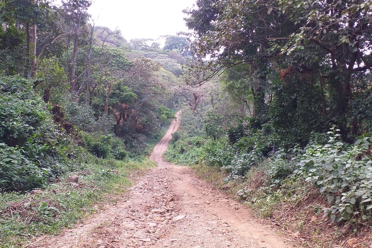 Ethiopia Gidami Asikana, photo 5