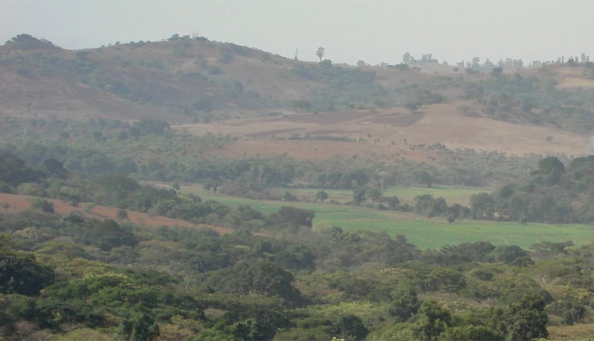 Ethiopia Gidami Asikana, photo 12