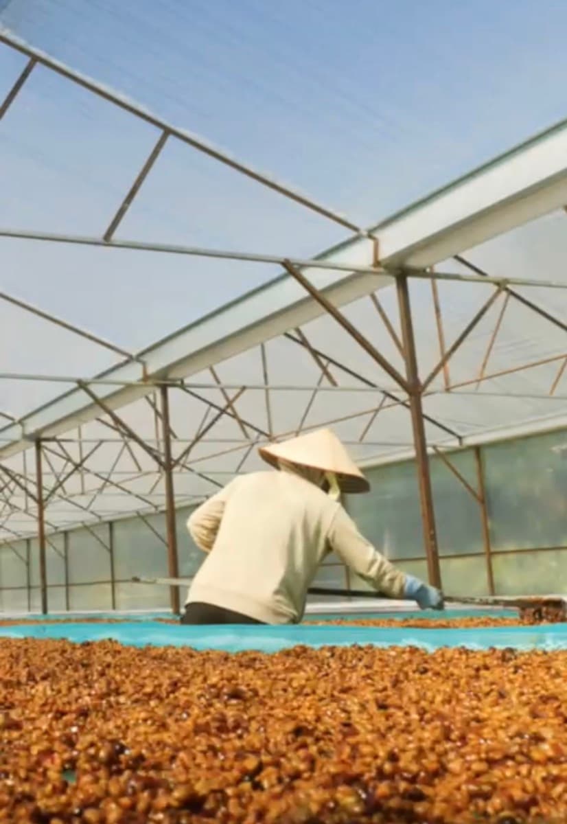 Vietnam Lam Dong Future Farm - Honey Anaerobic
