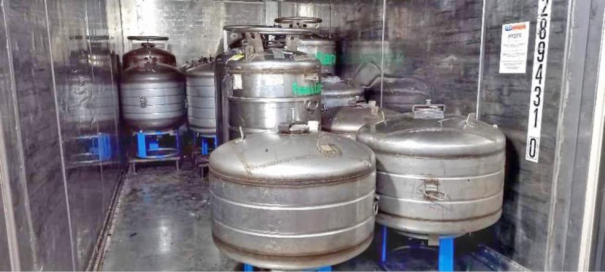 Vietnam Lam Dong Future Farm - Honey Anaerobic, photo 7