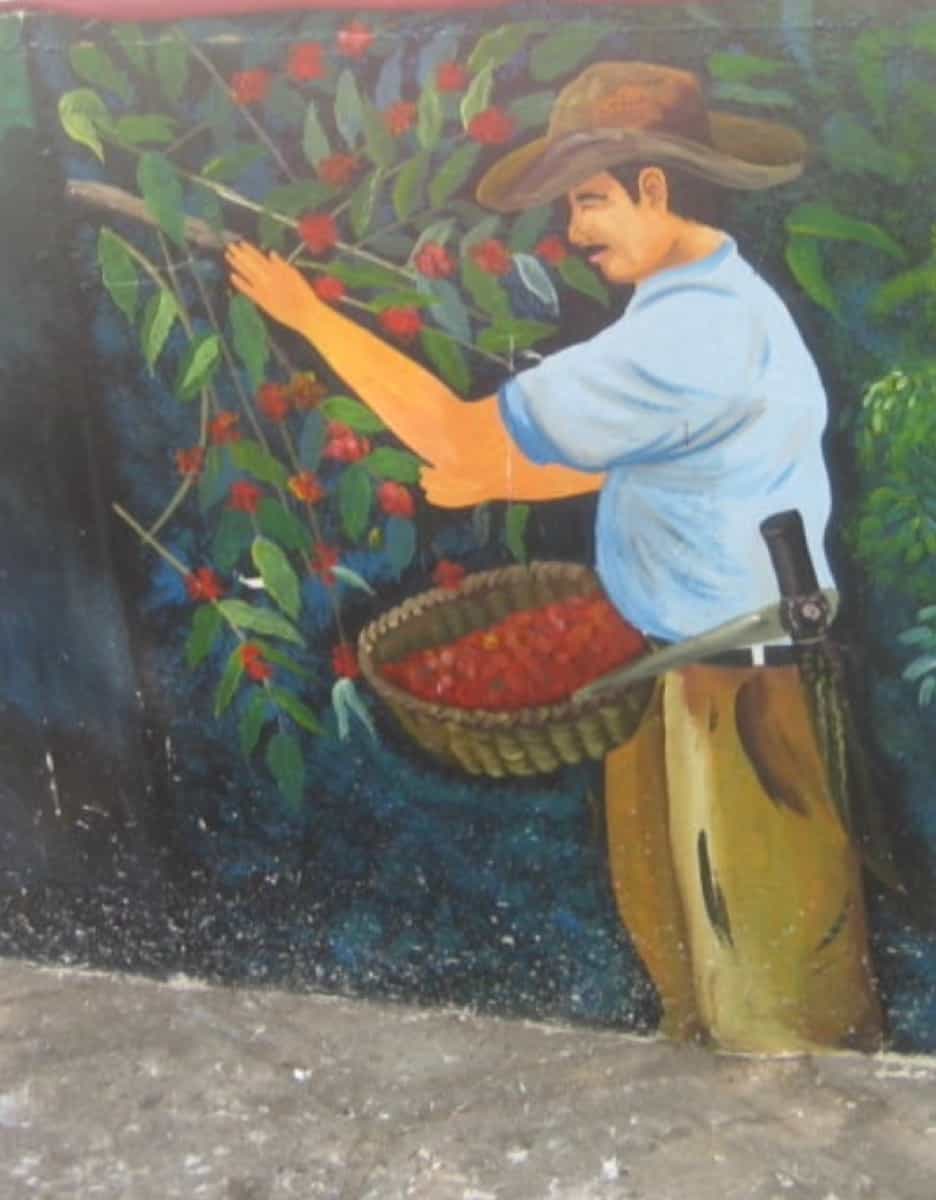 El Salvador El Carmen Pacamara
