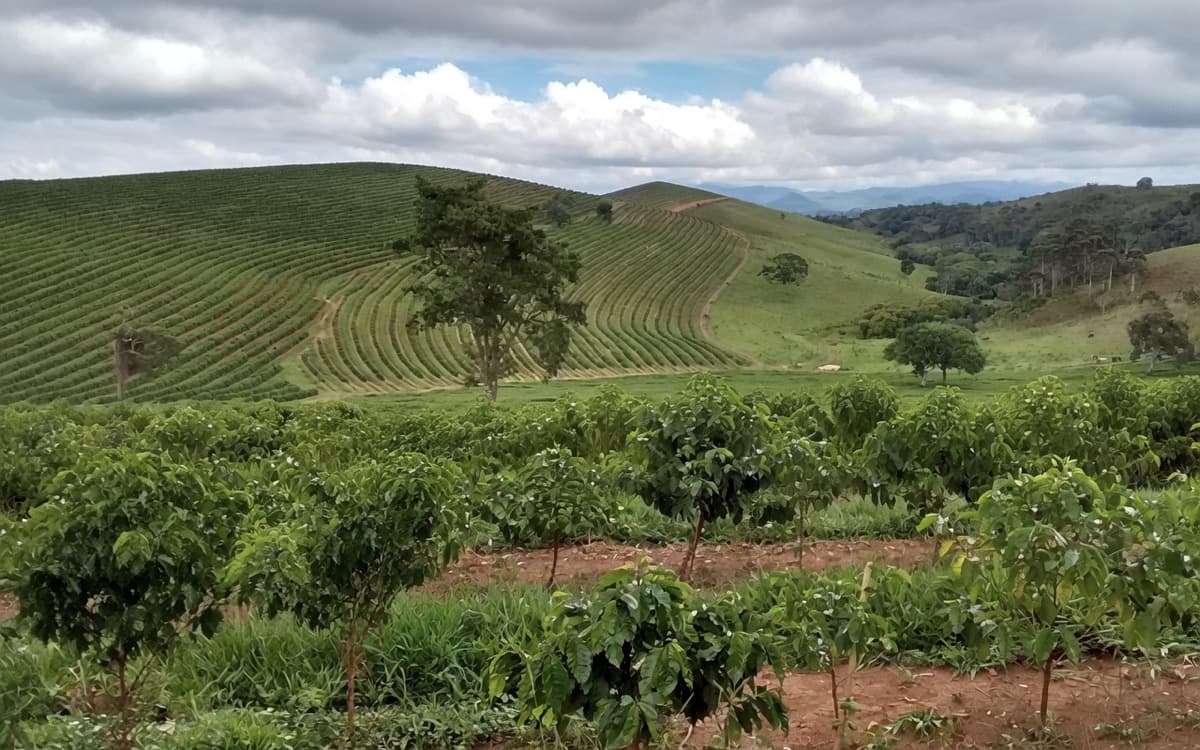 Irmas Pereira Pedralva Brazil