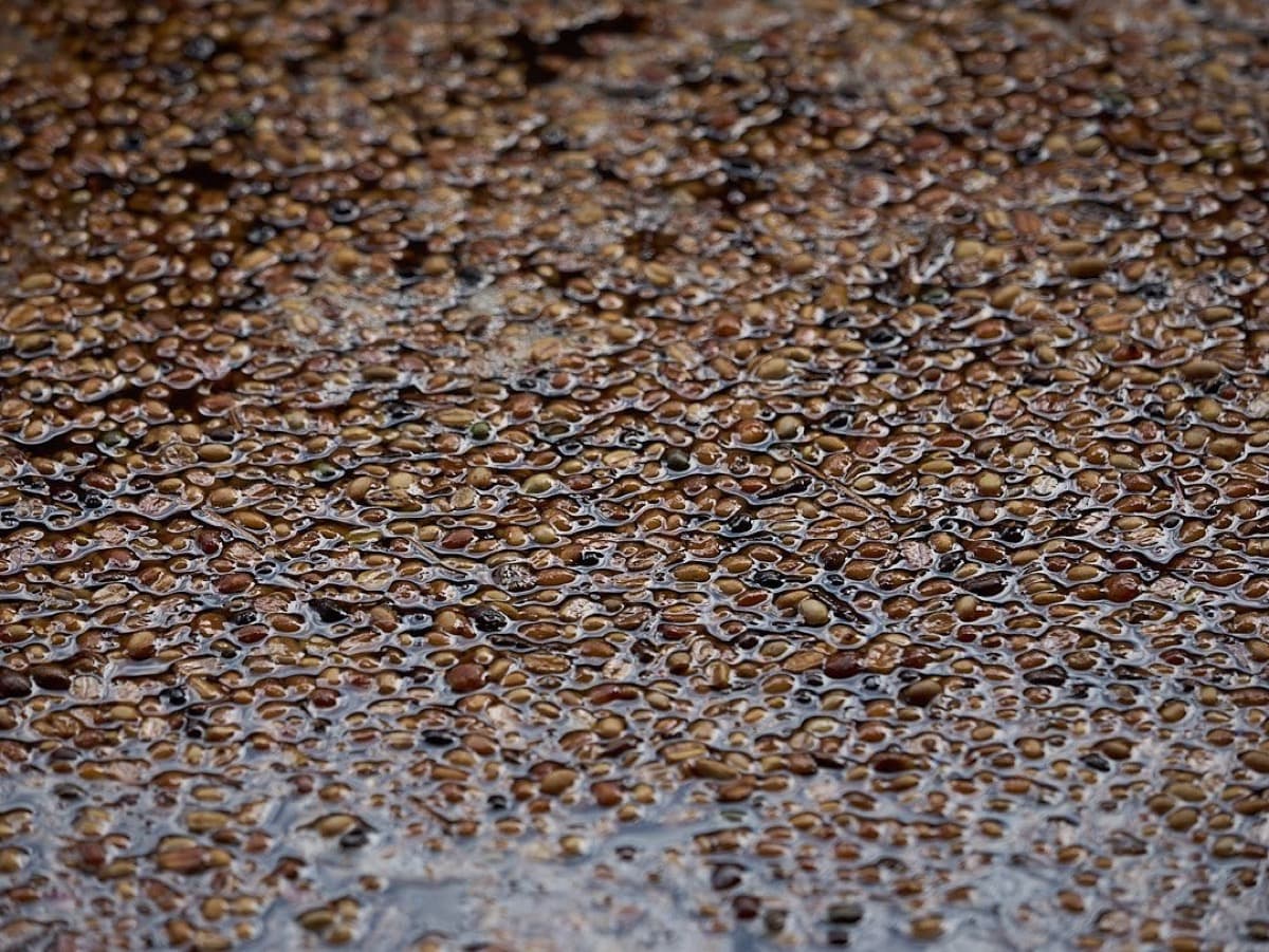 Vietnam Lac Duong Hieu Vuong - Honey Anaerobic Java, photo 4
