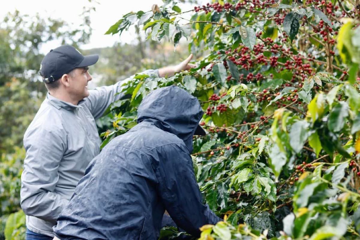 Vietnam Lac Duong Hieu Vuong - Honey Anaerobic Java, photo 6