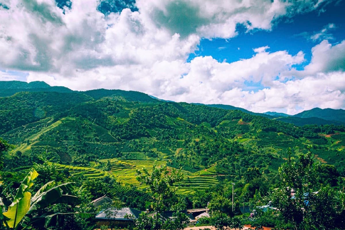 Yunnan Menglian Dongka Dark, photo 10