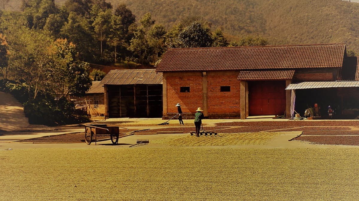 Yunnan Menglian Fuyan, photo 3