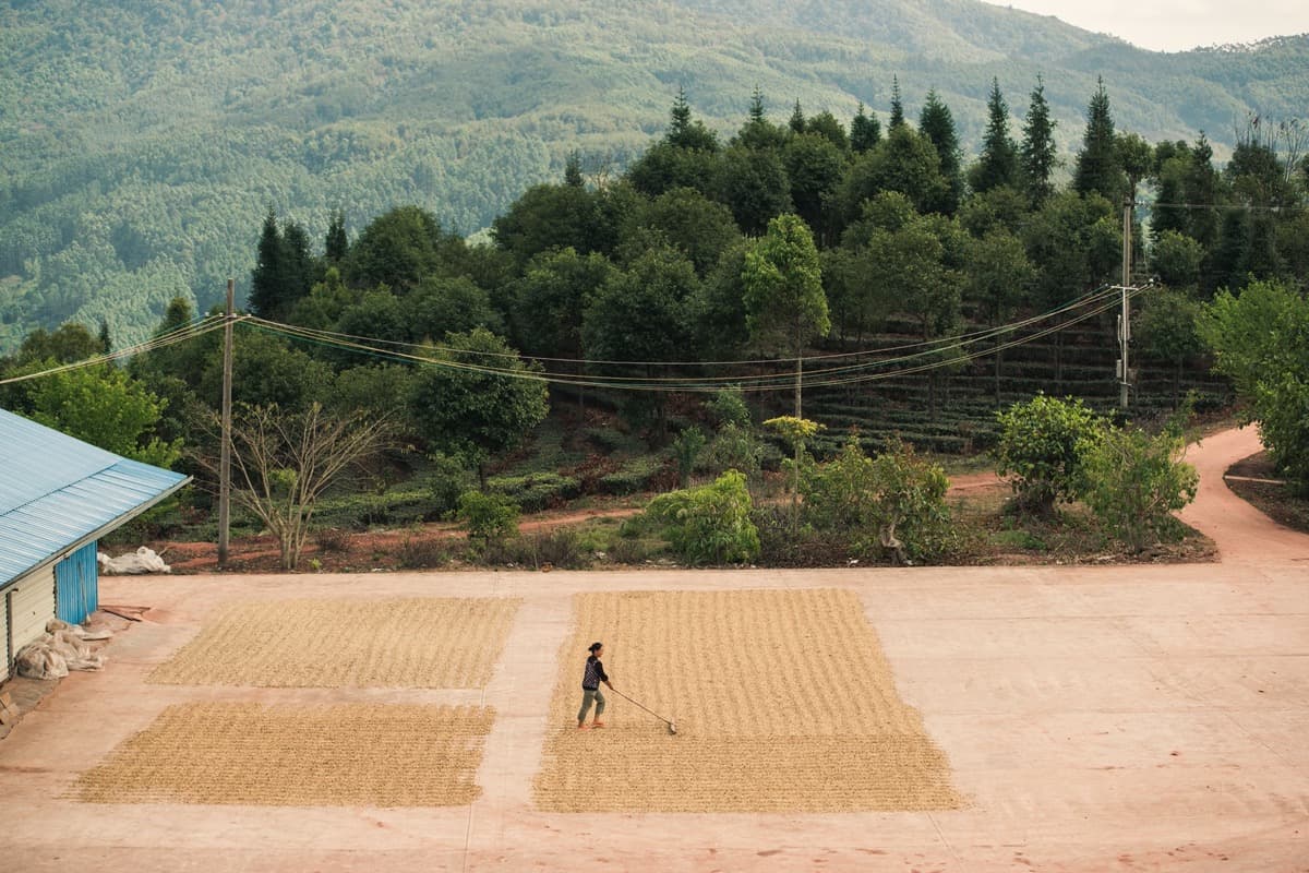 Yunnan Menglian Fuyan, photo 4