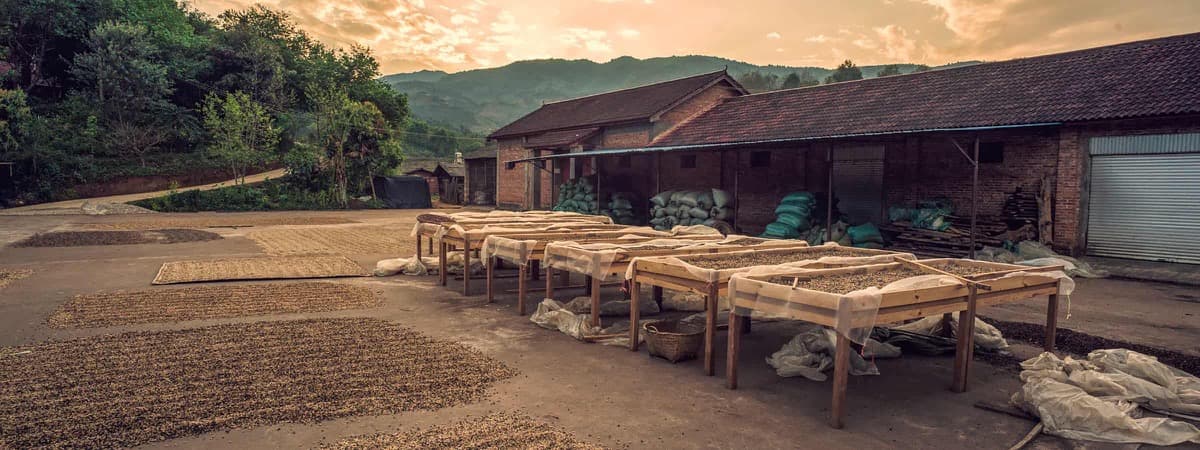 Yunnan Menglian Fuyan, photo 5