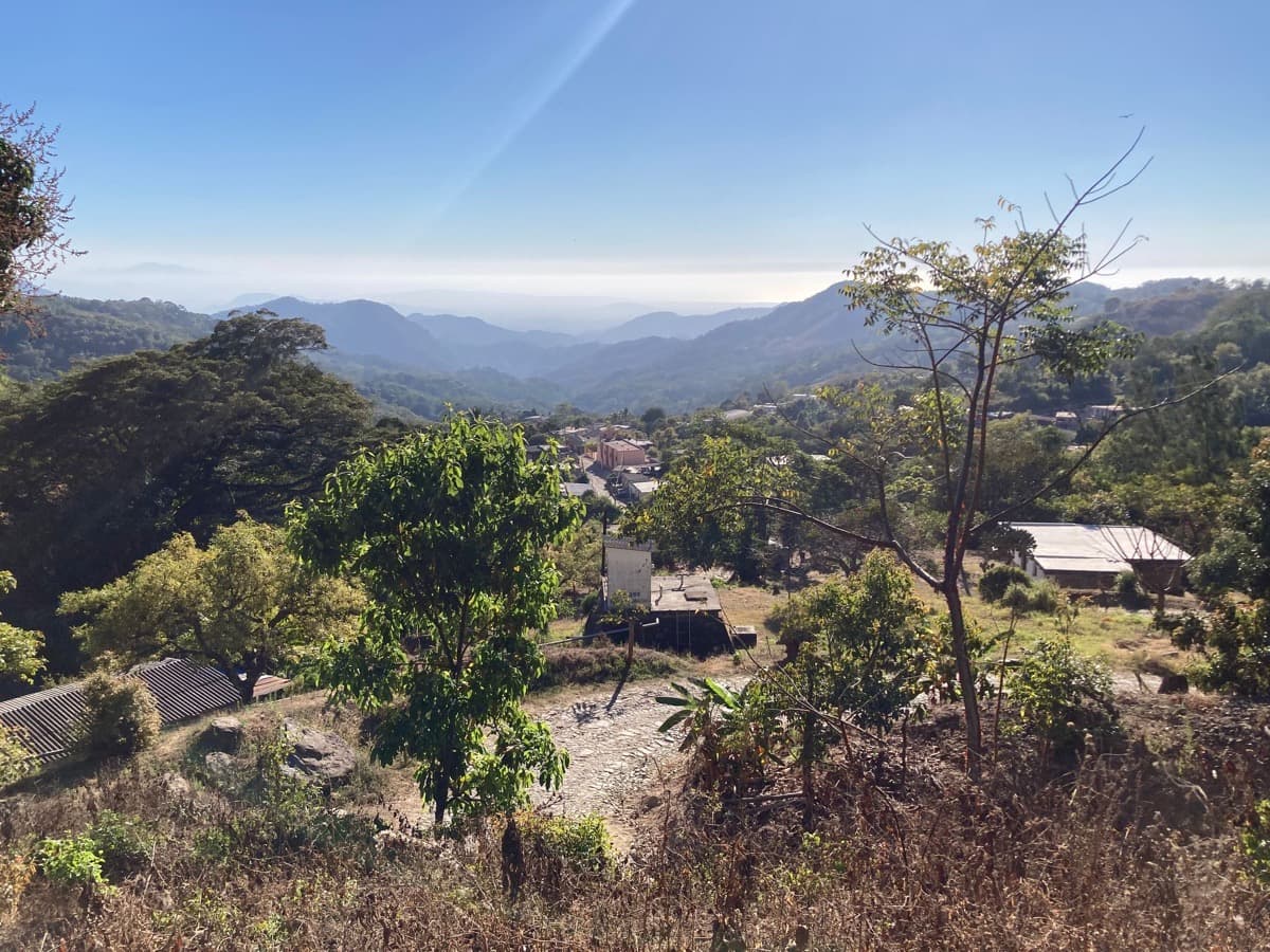 Mexico Nayarit Grupo Terruño 2x, photo 10