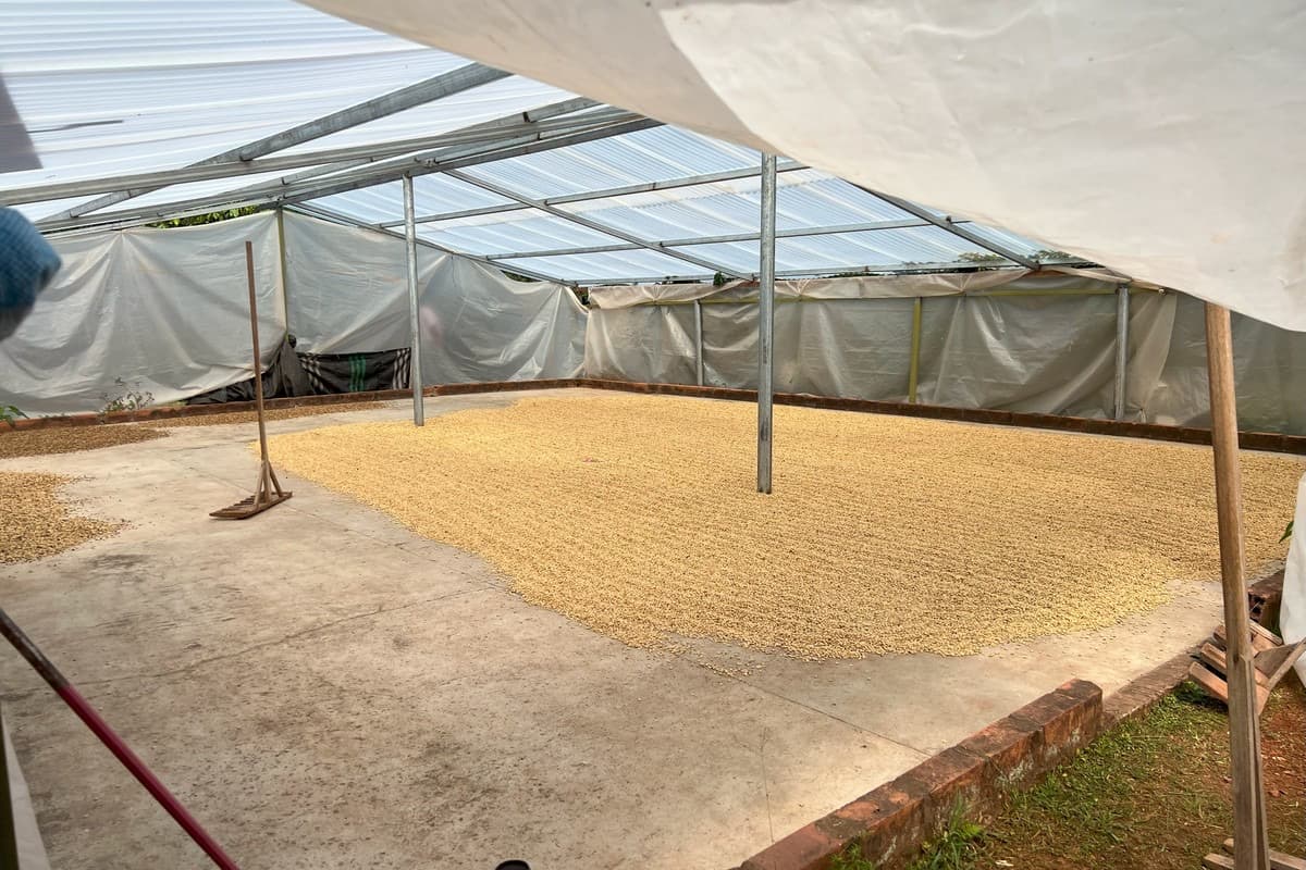 Satipo Farm Junin Peru, photo 5
