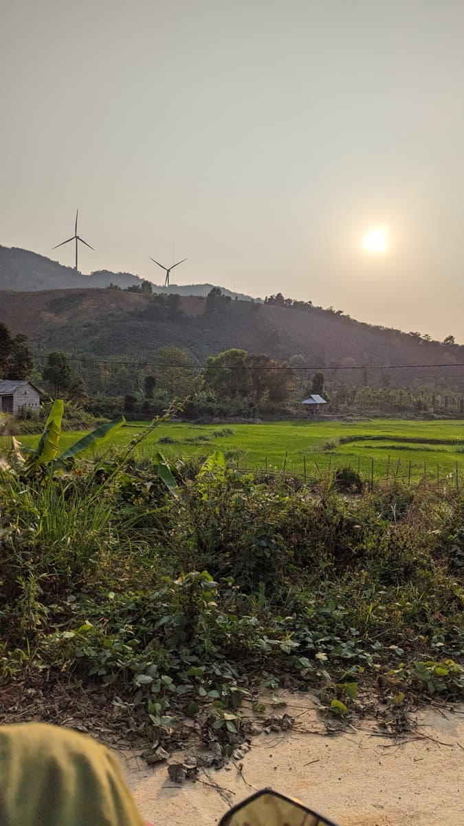Vietnam Quang Tri 96B Project - Natural Anaerobic Liberica, photo 12