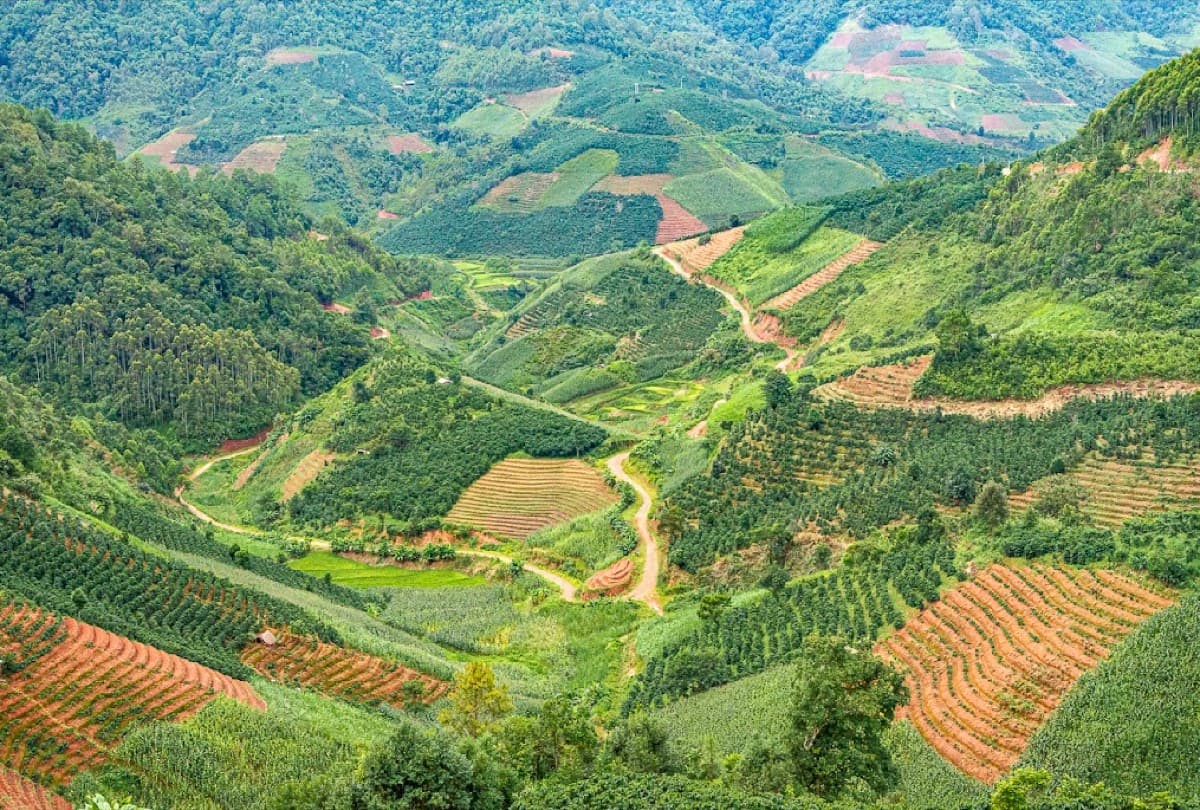 Amicitia - Half Caff, photo 12