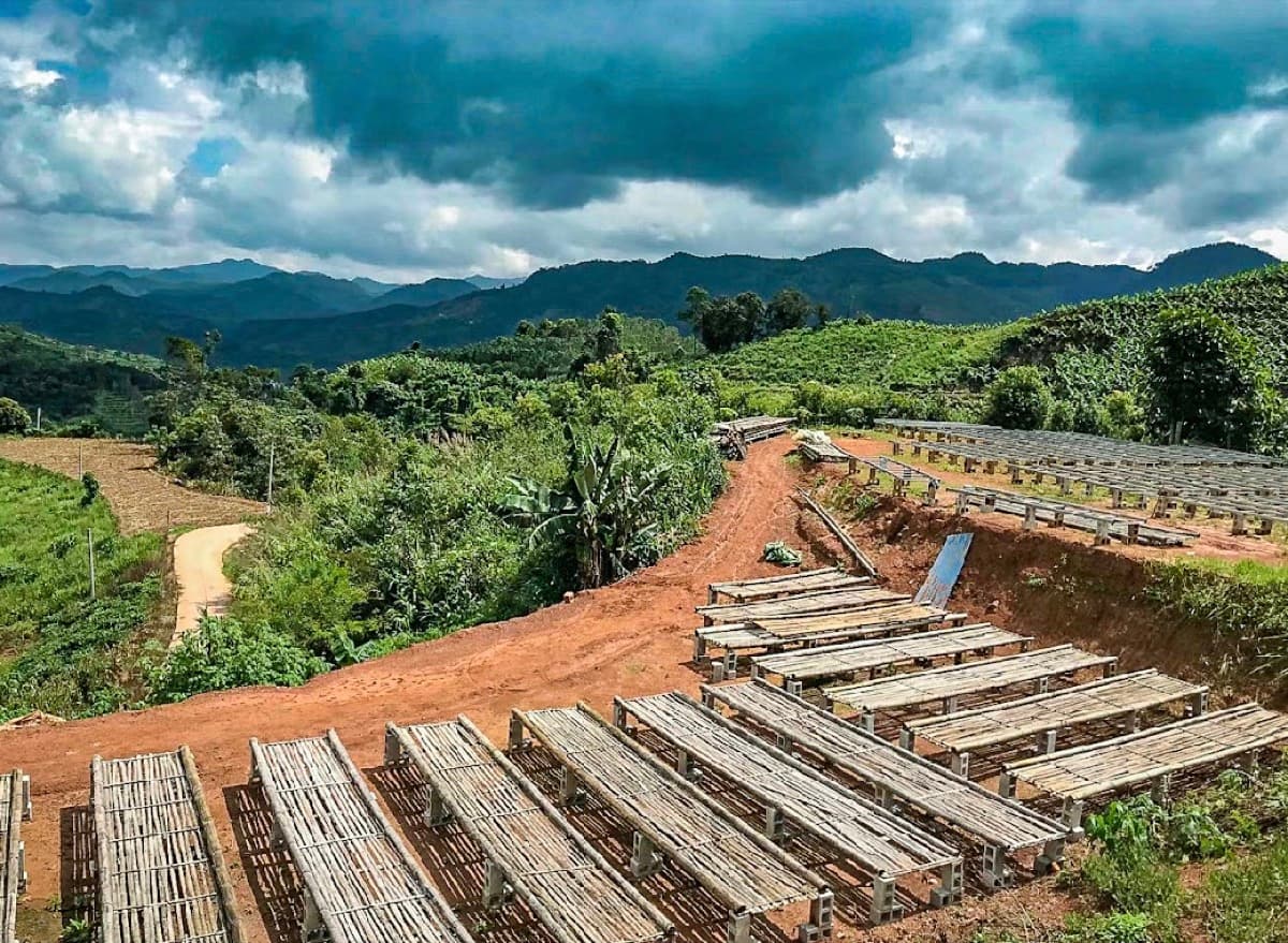 Yunnan Xishuangbanna Guiben Natural