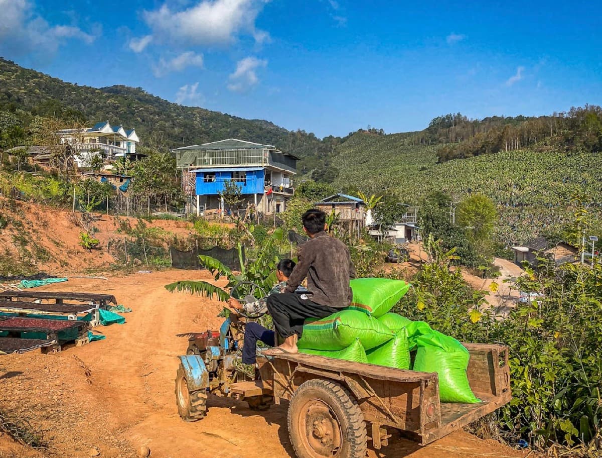 Yunnan Xishuangbanna Guiben Natural, photo 3